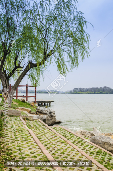 湖岸