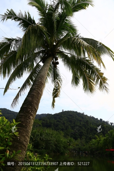 三亞浪漫之旅呀諾噠秀美風(fēng)景