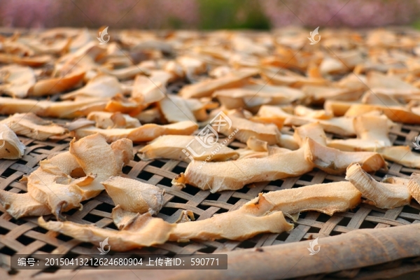 竹筍干