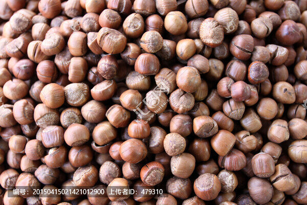榛子,種子,食品,堅果,干果