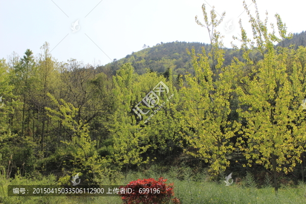 山區(qū)景色