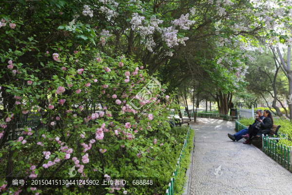 春天的公園