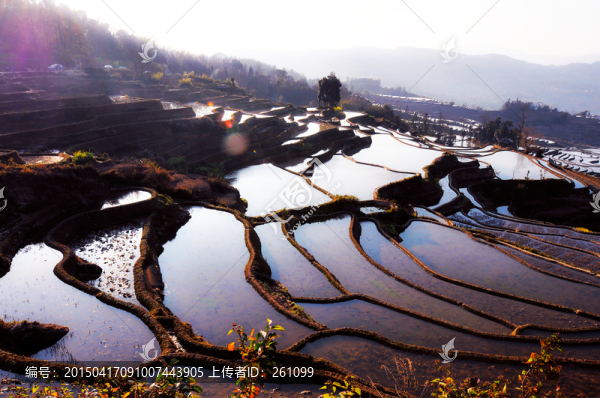 元陽梯田（高清）