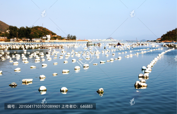 深圳南澳海濱,海鮮養(yǎng)殖,水產(chǎn)