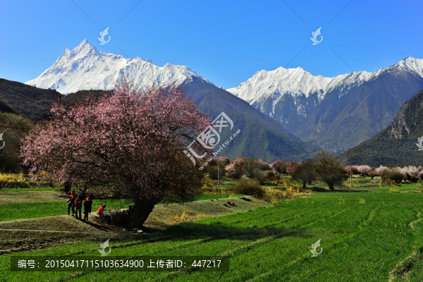 雅魯藏布江風光