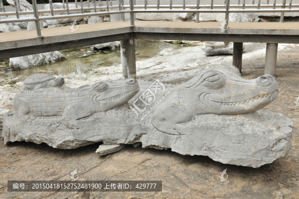 鱷魚
