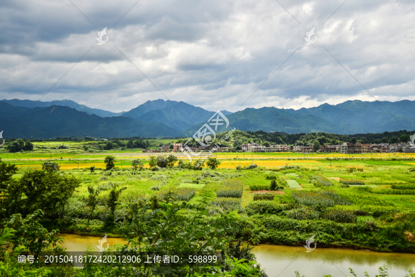 郊野