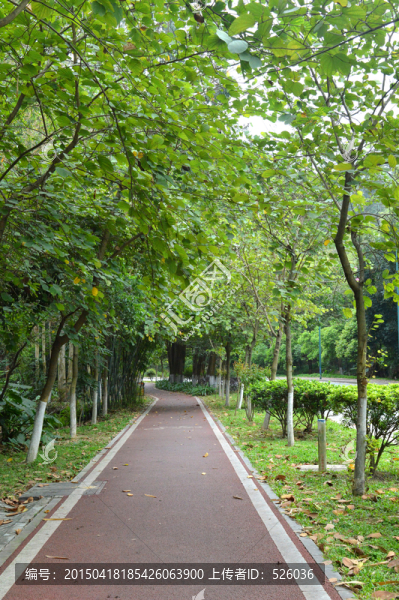 綠道