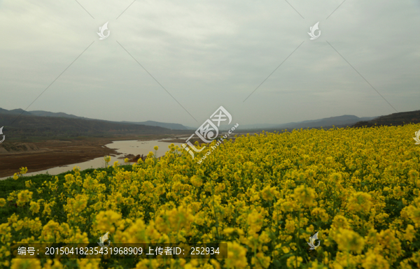 田園風(fēng)景