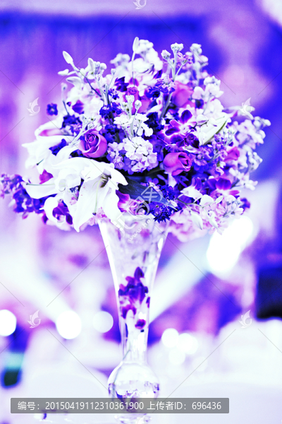 瓶花高清jpg