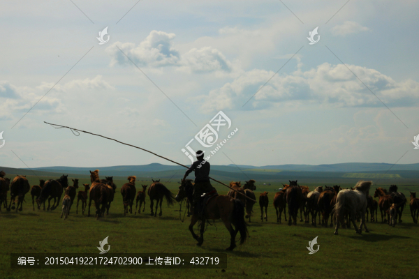 草原牧馬