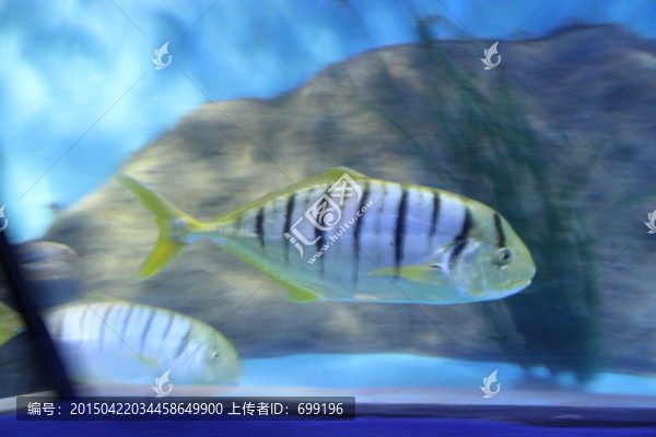 海底世界