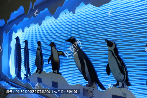 企鵝