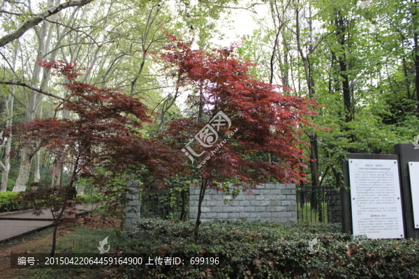 植物園