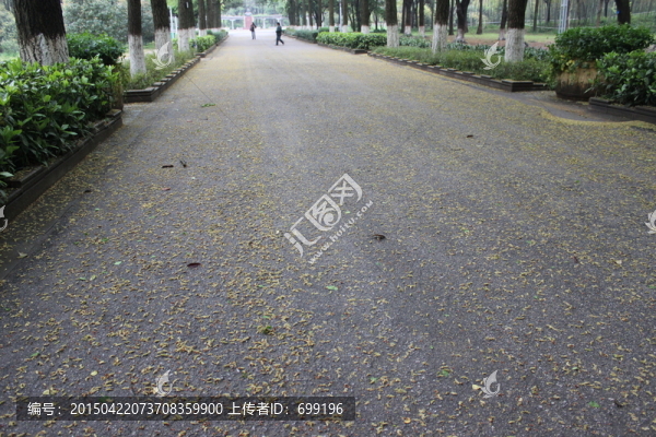 落葉滿地