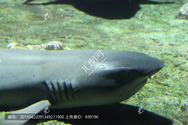 海底世界