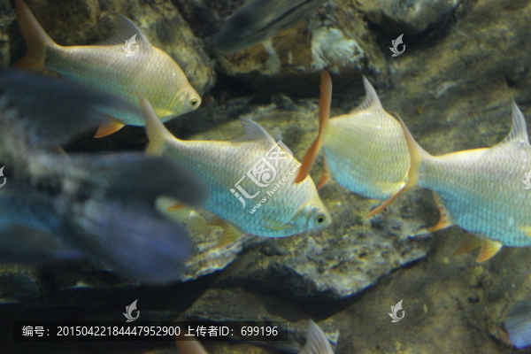 海底世界