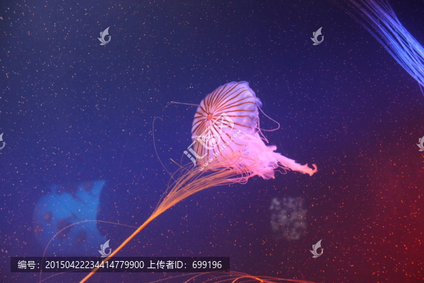 海底世界