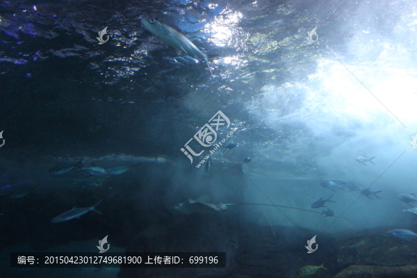海底世界