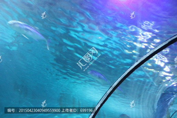 海底世界