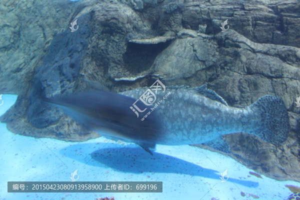 海底世界