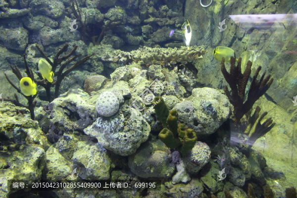 海底世界