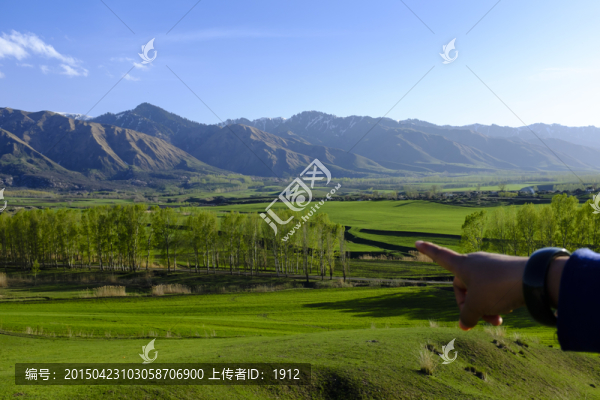 田野