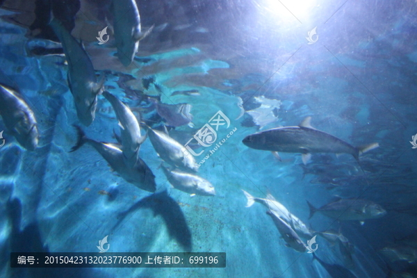 海底世界