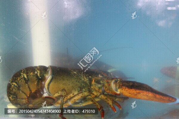 海鮮
