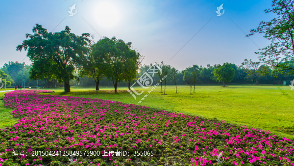 雙流濕地公園