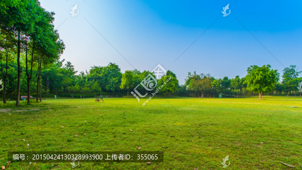 雙流濕地公園
