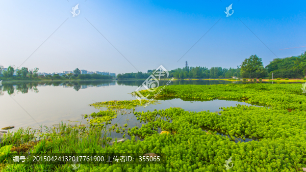雙流濕地公園