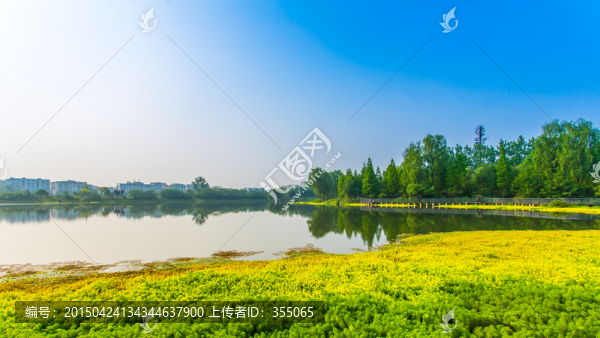 雙流濕地公園