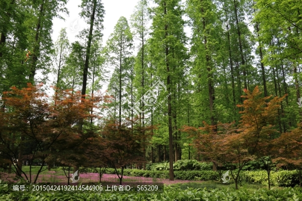 解放公園風景