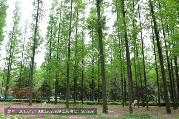 解放公園風(fēng)景
