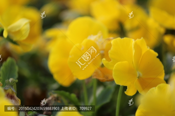 一抹陽光