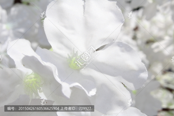白色工藝花