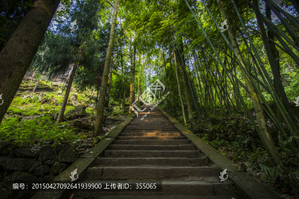 山路