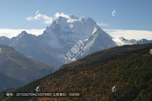 稻城三神山,森林,四川