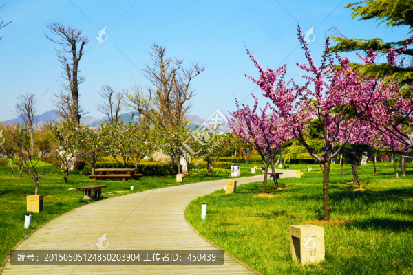 公園