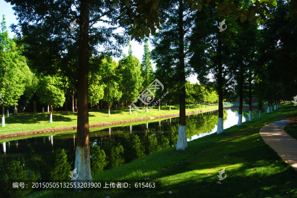 河道