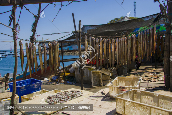 曬咸魚(yú)