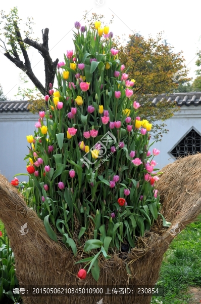 花展,花藝
