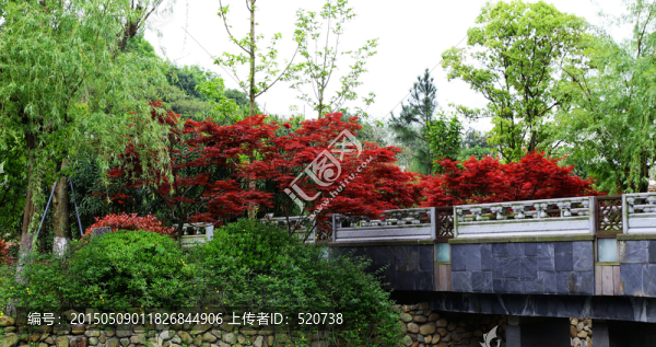 寧波,東錢湖,園林