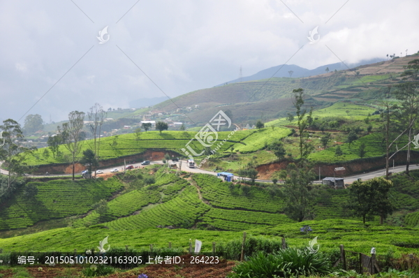 努瓦勒艾利耶山間景色
