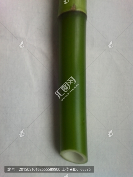 翠竹,竹節(jié)