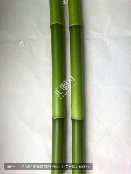 翠竹,竹節(jié)
