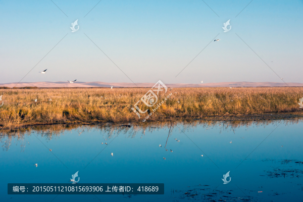 呼倫貝爾三十三號濕地