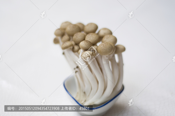 蟹味菇
