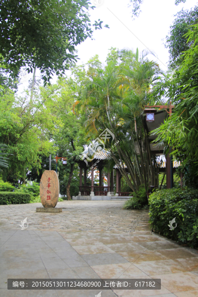 園林,園藝,院子,亭子,竹林